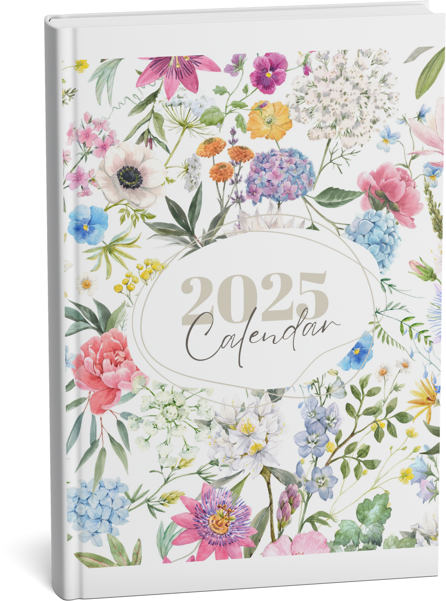 2025 Monthly Calendar + Bonuses